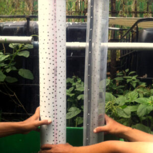 Catridge Booster Plankton